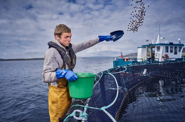 A worker uses a scoop to scatter feed beside a fish cage, with a workboat behind
