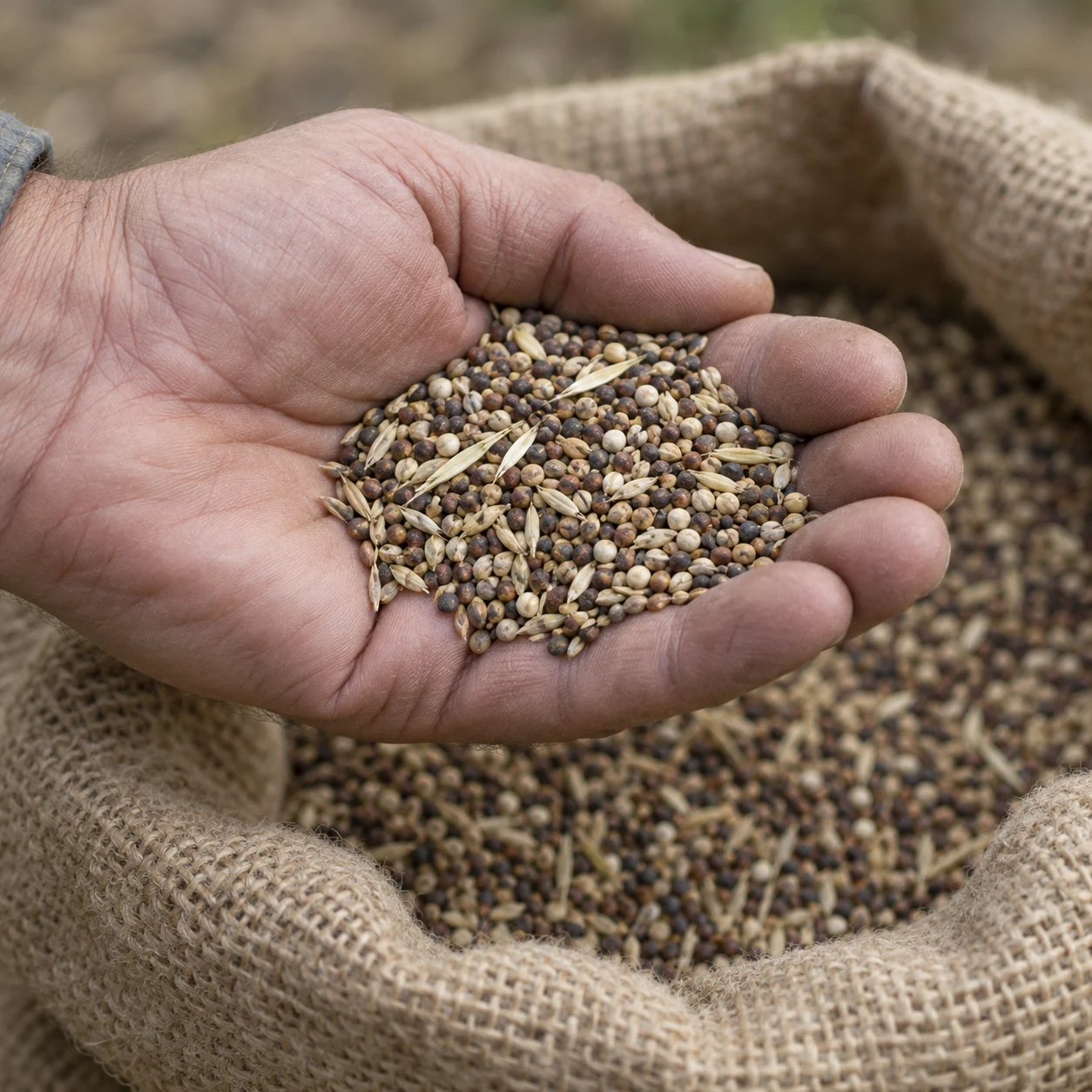 AI-generated illustration of a hand holding a generic mixture of small seeds.