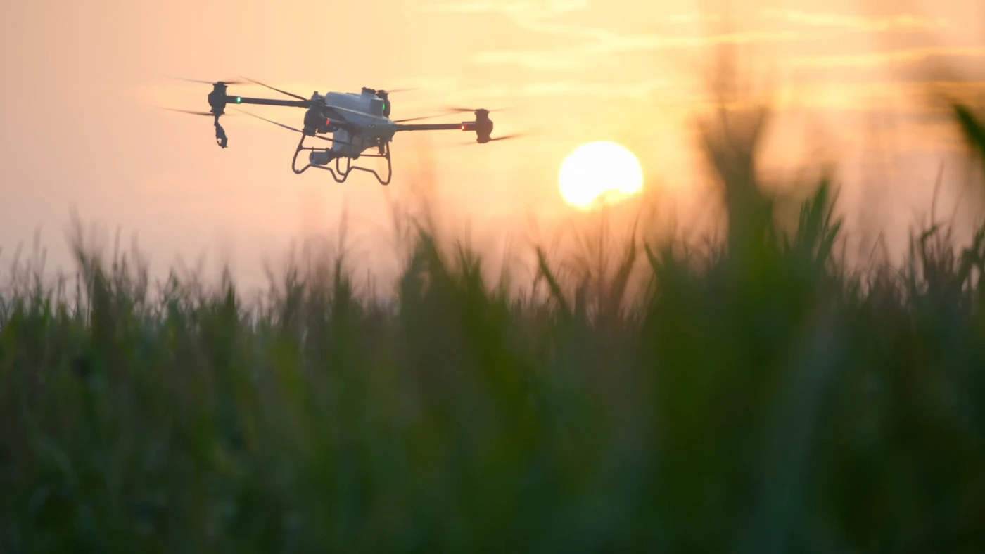 An agricultural drone working above a standing crop.