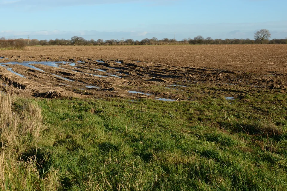 Water-filled tractor wheel ruts at the edge of a cultivated field.