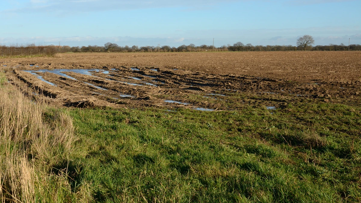 Field access and the ground conditions around a cultivated area.