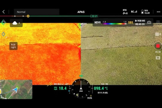 Mavic 3M live RGB and NDVI split-screen display in the supplied presentation