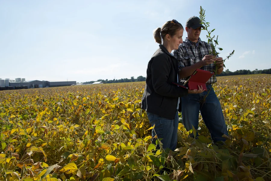 An agronomist and farmer discussing field conditions with a tablet.