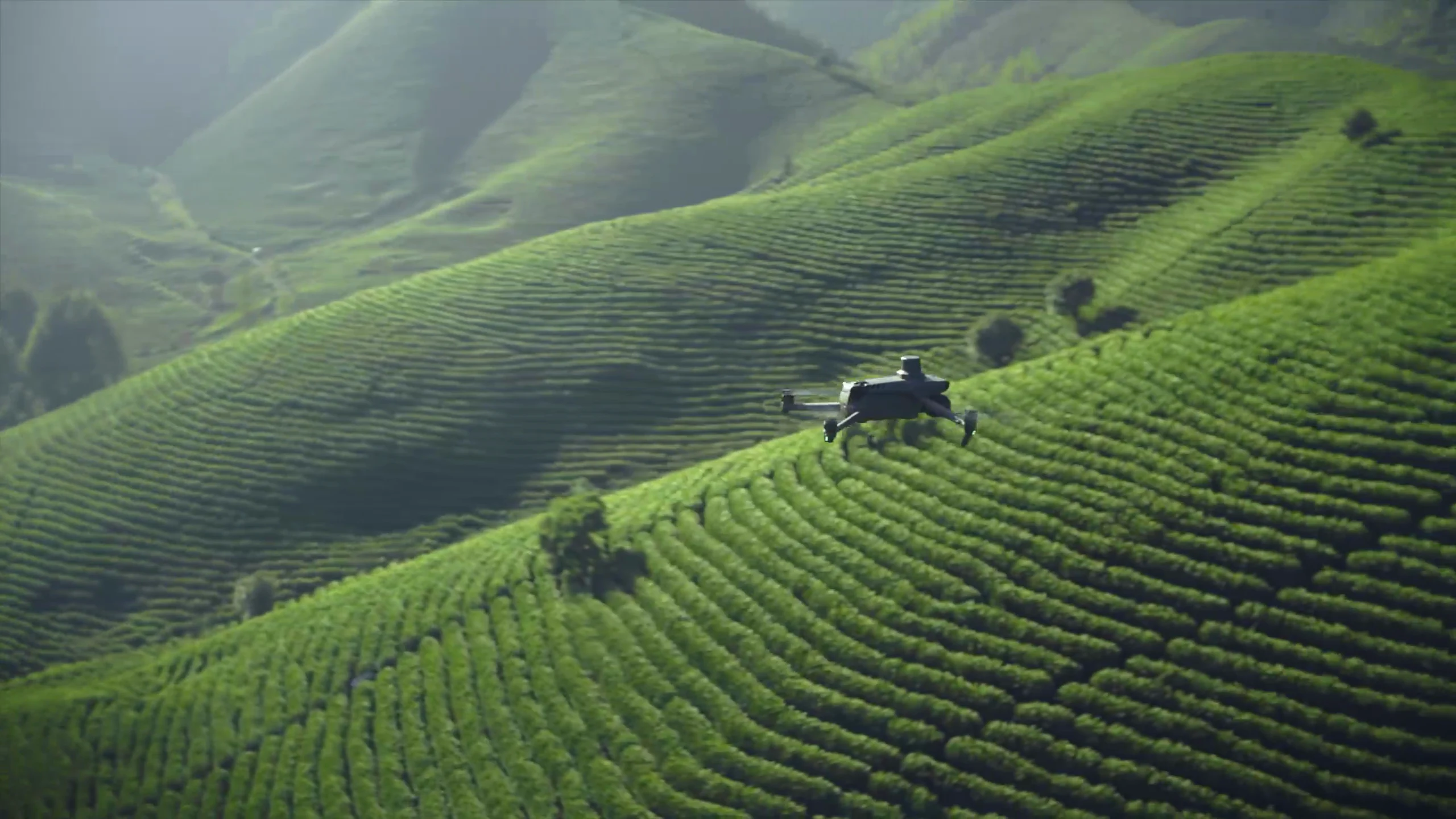 Mavic 3M flying above planted hillside rows in DJI manufacturer footage