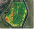 Illustrative field imagery and vegetation-index map