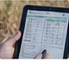 Illustrative field notes and observations on a tablet