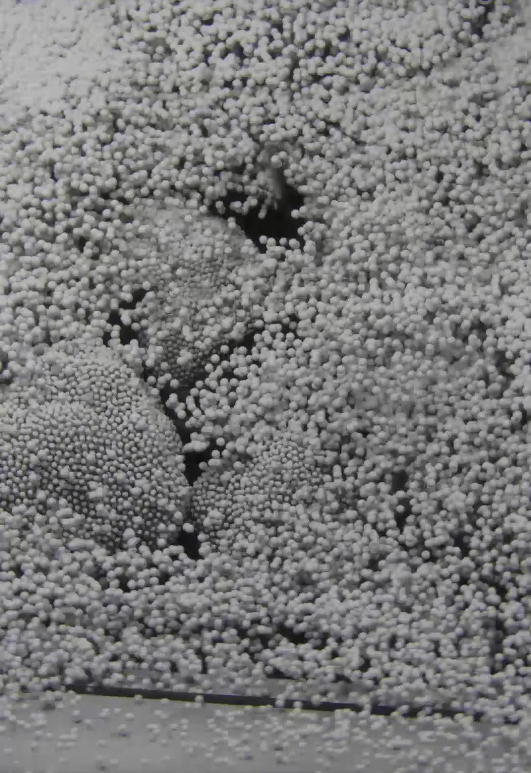 Granular fertilizer
