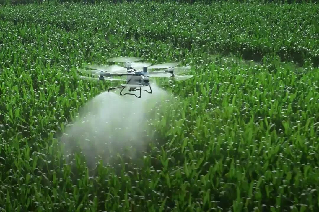 DJI AGRAS T100 flying and spraying above a crop field, manufacturer imagery