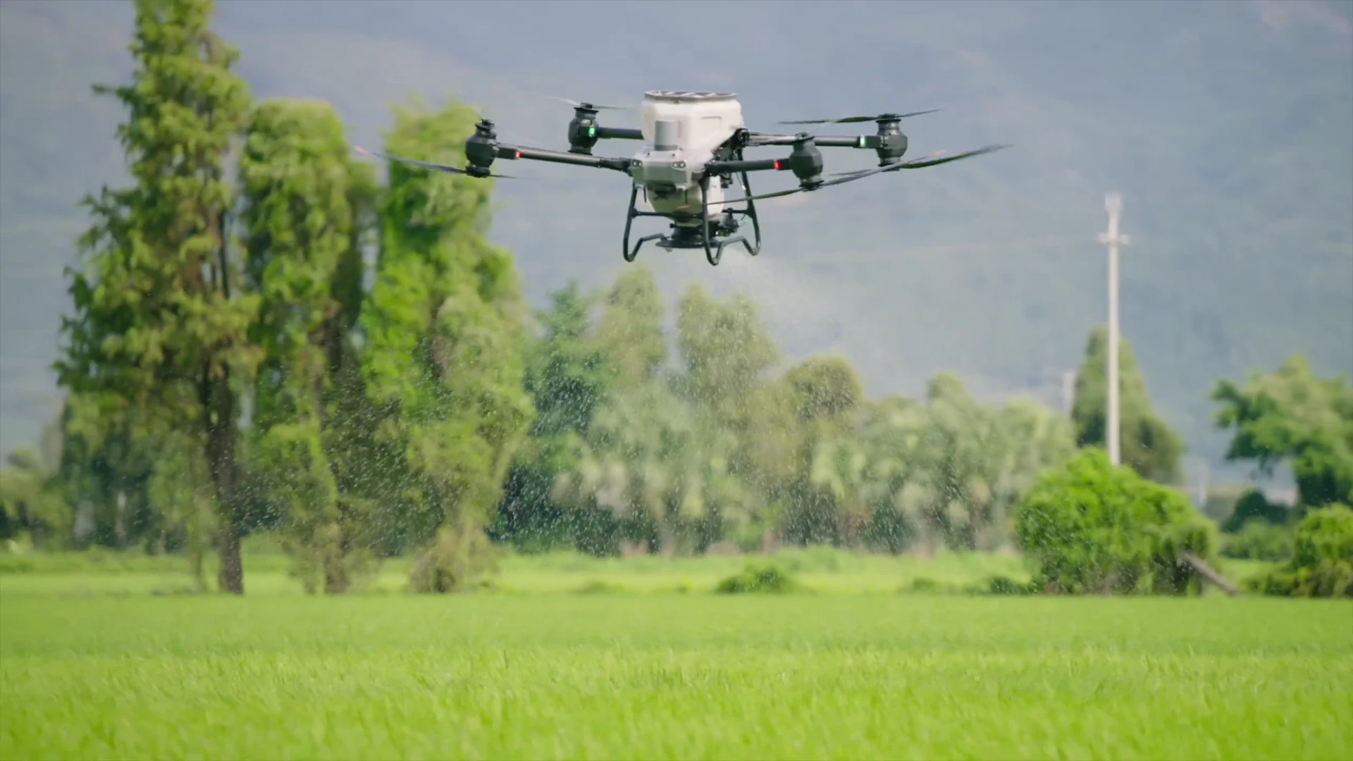 DJI AGRAS T50 spreading granules above a field in manufacturer footage